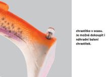 Savage Gear Gumová Nástraha 4D Rattle Trout Chrastící Pstruh Rainbow Trout (1)