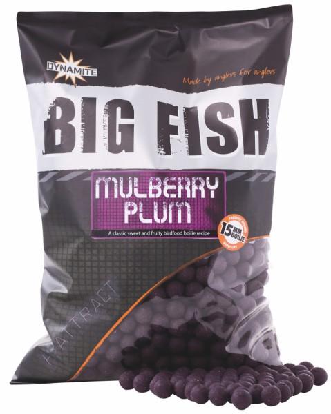 Levně Dynamite baits boilies big fish mulberry plum - 1,8 kg 20 mm