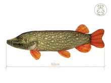 Delphin Plyšová Štika Piky 60 cm (1)