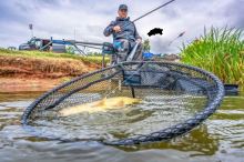 Preston Innovations Podběráková Hlava Carbon Match Landing Net (3)