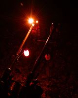 Fox Swinger Black Label Dumpy Halo Bobbins (2)