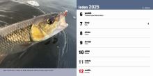 ČRS Stolní Rybářský Kalendář Na Rok 2025 (9)