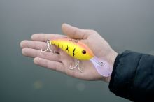 Black Cat Wobler Cranker Yellow Zombie (9)