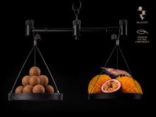 Delphin Vyvážené Boilies BreaX PassionKRILL Krill Mango 100 g (2)