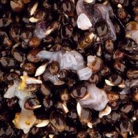 Nash Partikl Scopex Squid Hemp (1)