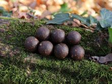 Mivardi Boilies Rapid Platinum ProActive Crazy Liver (3)