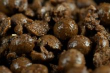 Sticky Baits Boilie Bloodworm Shelf Life (2)