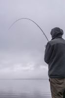 Giants Fishing Prut Fluent MK2 Match 3 m 5-20 g 3-Díl (8)