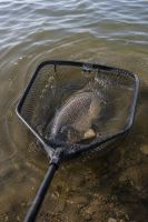 Giants Fishing Plovoucí Podběrák s Pogumovanou Síťkou Luxury X-Large Float 2,52 m 80x70 cm (7)