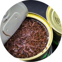 My-Baits Patentka Ringpull Bloodworms "Blood & Honor" 100 ml My-Baits Patentka Ringpull Bloodworms "Blood & Honor" 100 ml