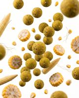 TB Baits Boilie Corn 2,5 kg (1)