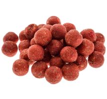 Zfish Boilie Carp Impuls Squid Krill (1)