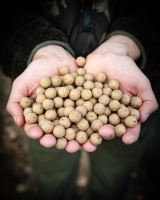 Nash Boilies Citruz (3)