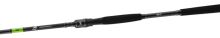 Daiwa Prut Prorex X Spin 2,70 m 40-100 g (2)