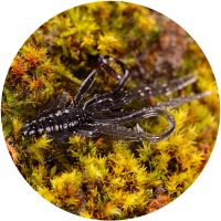 RedBass Gumová Nástraha Nymfa Dark Black - XL 130 mm