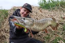 Fox Rage Gumová Nástraha Loaded Zander Pro Shad UV Hot Olive (4)