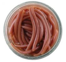 Berkley Hnojňáci (mini-earth worms) (1)