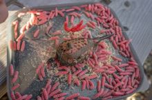 Korum Krmítko Camo Grub Feeders (9)