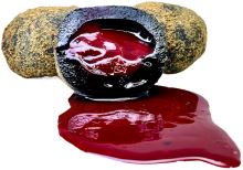 LK Baits Nutrigo Predator LK Baits Nutrigo Predator