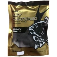 Nash Boilie The Key Cultured Boilies - 25 ks 15 mm