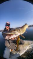 Berkley Gumová Nástraha PowerBait Nessie Arctic Char (10)