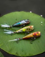 Salmo Wobler Rattlin Pop Clear Ayu 7 cm (5)