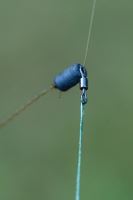 Preston Innovations Závěska Feeder Links Soft 3 ks (10)