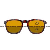 Fortis Polarizační Brýle Strokes Switch (1)