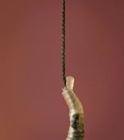 One More Cast Návazcová Šňůrka Ammo Weed Silt 20 m (12)