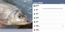 ČRS Stolní Rybářský Kalendář Na Rok 2025 (7)