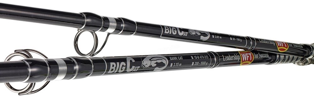 WFT Prut Big Cat Bank Cat 2,70 m 200-1000 g (2)