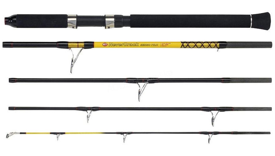 Wft prut never crack big fish 2,4 m 150-700 g