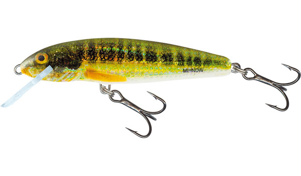 Levně Salmo wobler minnow floating holo real minnow-5 cm 3 g