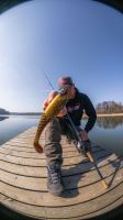Berkley Gumová Nástraha PowerBait Cullshad Shallow Sinking Firetiger (7)
