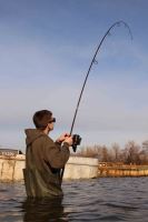 Nikl Prut Bond Girl Power Deluxe Cork 3,66 m (12 ft) 3 lb (10)