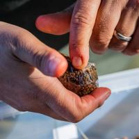 One More Cast PVA Sáček Fade Solid PVA Bags 25 ks (14)