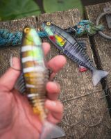 Fox Rage Gumová Nástraha Jointed Replicant Young Perch UV (6)