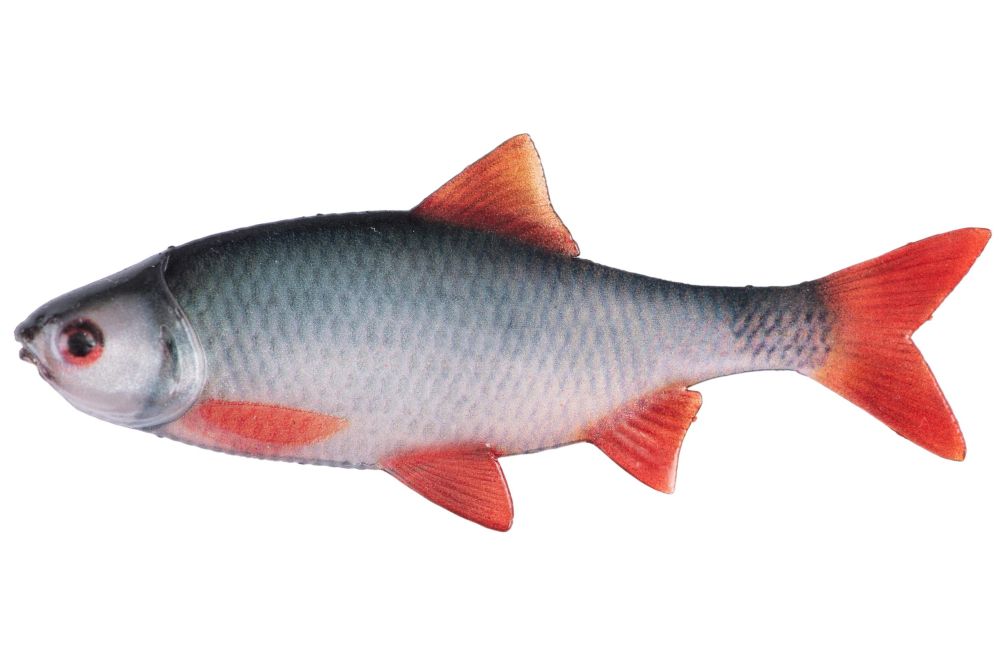 Fox rage gumová nástraha ultra natural roach fillet 4 ks - 8 cm