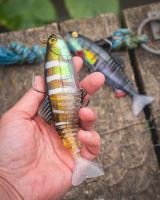 Fox Rage Gumová Nástraha Jointed Replicant Young Perch UV (7)