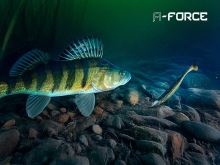 Delphin Jigová Hlavička S Držákem A-Force 5 ks 5 g (7)