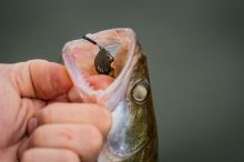 Fox Rage Jigová Hlavička Dart Jig Head Camo (9)