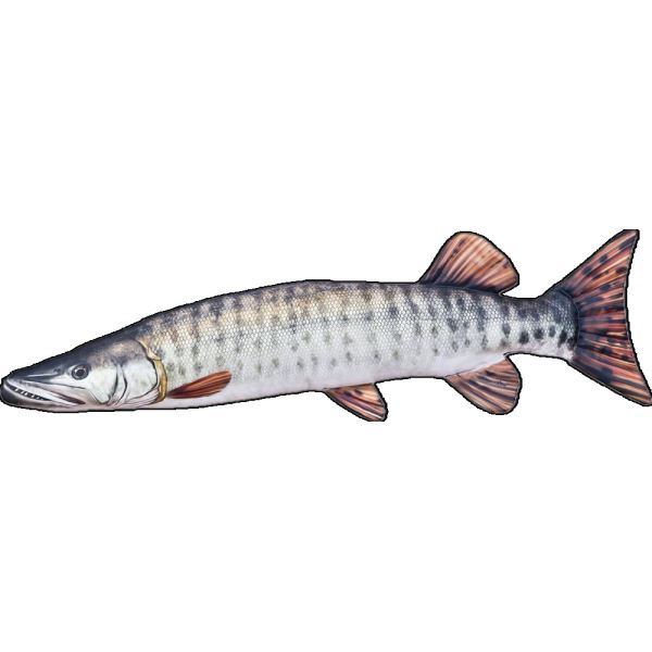 Gaby Plyšová Ryba Muskie Štika Americká 80 cm