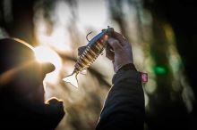 Fox Rage Gumová Nástraha Jointed Replicant Silver Halo (3)