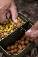 Korum Miska Divided Bait Tub (7)