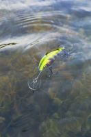 Salmo Wobler Hornet Floating Holographic Grey Shiner (13)