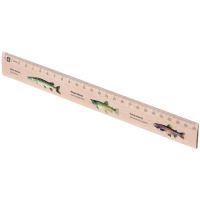 Metrie pravítko 25 cm s motivem ryb Metrie pravítko 25 cm s motivem ryb