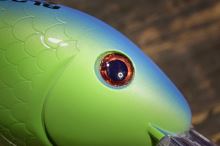 Black Cat Wobler Cranker Yellow Zombie (7)