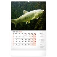 PGCZ Nástěnný Rybářský Kalendář 2026 CZ 33x46 cm (2)