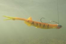 Black Cat Gumová Nástraha Cat Pelagic Red Head 27 cm 60 g (5)