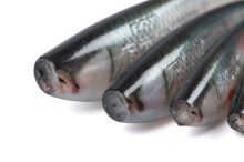 Fox Rage Gumová Nástraha Zander Pro Shad Ultra Natural Roach (2)